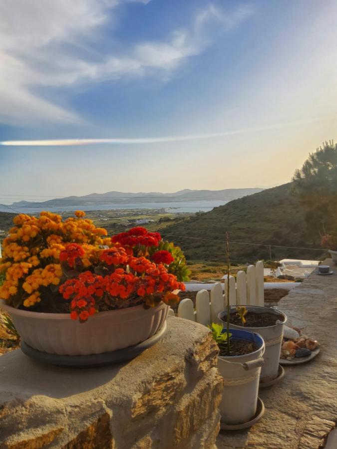 Romantic Sunset Cycladic House In Sotires Moni Christou Dasous Luaran gambar