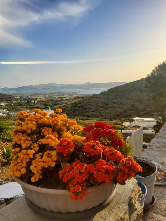 Romantic Sunset Cycladic House In Sotires Moni Christou Dasous Luaran gambar